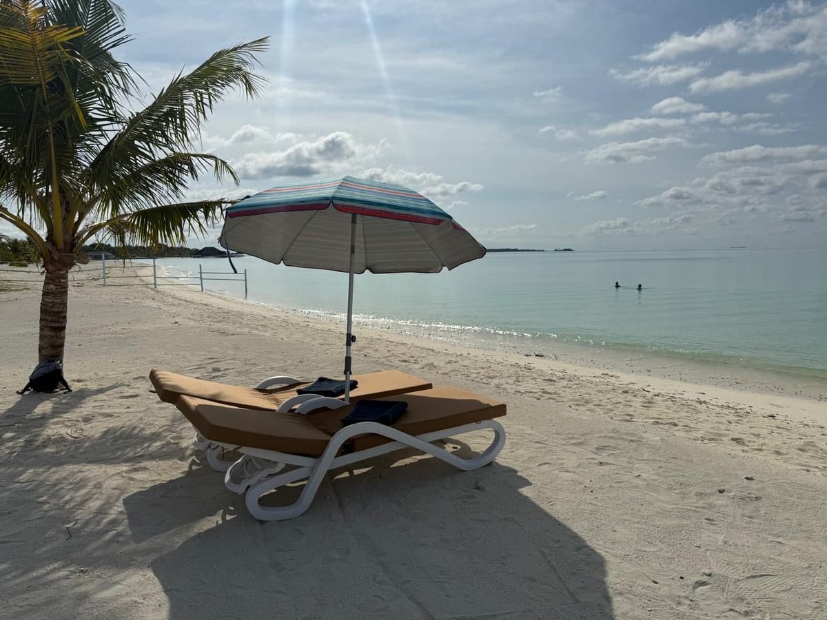 Two loungers under an umbrella on the beach