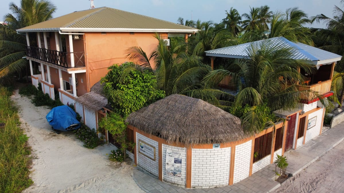 The Shamar guesthouse from the air, palms and the lagoon behind it